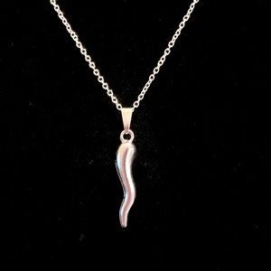 Italian Horn Cornicello Protection Necklace